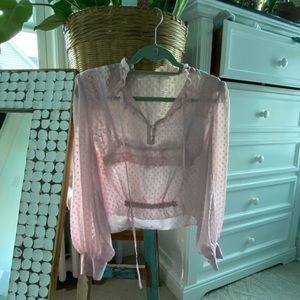 LoveShackFancy Sheer Pink Blouse